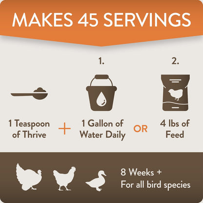 Thrive, Daily Probiotic & Prebiotic Water Supplement for Chickens 8+ Weeks Old, 8 oz (Pack of 2)