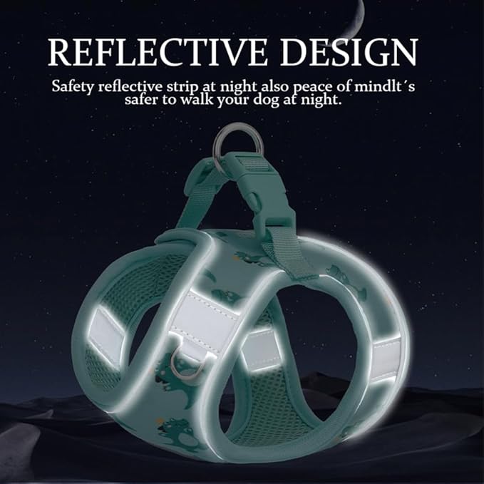 Step in Dog Harness and Leash Set, Flower Adjustable Easy Walk Puppy Harnesses, Soft Mesh No Pull Pet Vest Harness for Small Medium Dogs(Green, M)