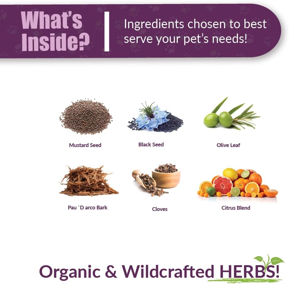 Amber NaturalZ Vibactra Immune Support Herbal Supplement for Dogs, Cats, Birds, Guinea Pigs, and Rabbits | Pet Herbal Blend for Overall Health | 4 Fluid Ounce Glass Bottle | Manufactured in The USA