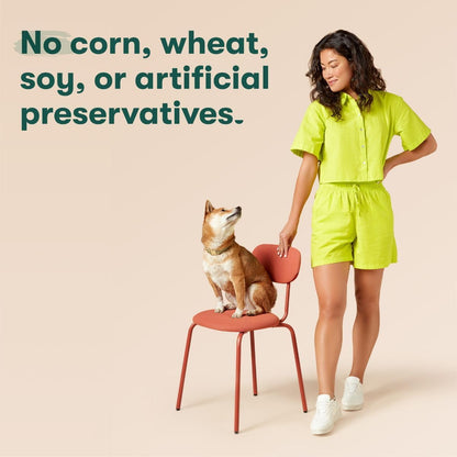 Jinx Salmon Wet Dog Food Topper, Mix with Dry Dog Food, Made with Real Salmon & Chicken, Bone Broth, No Fillers, Puppy, Adult, Senior, 9oz, 12 Pack