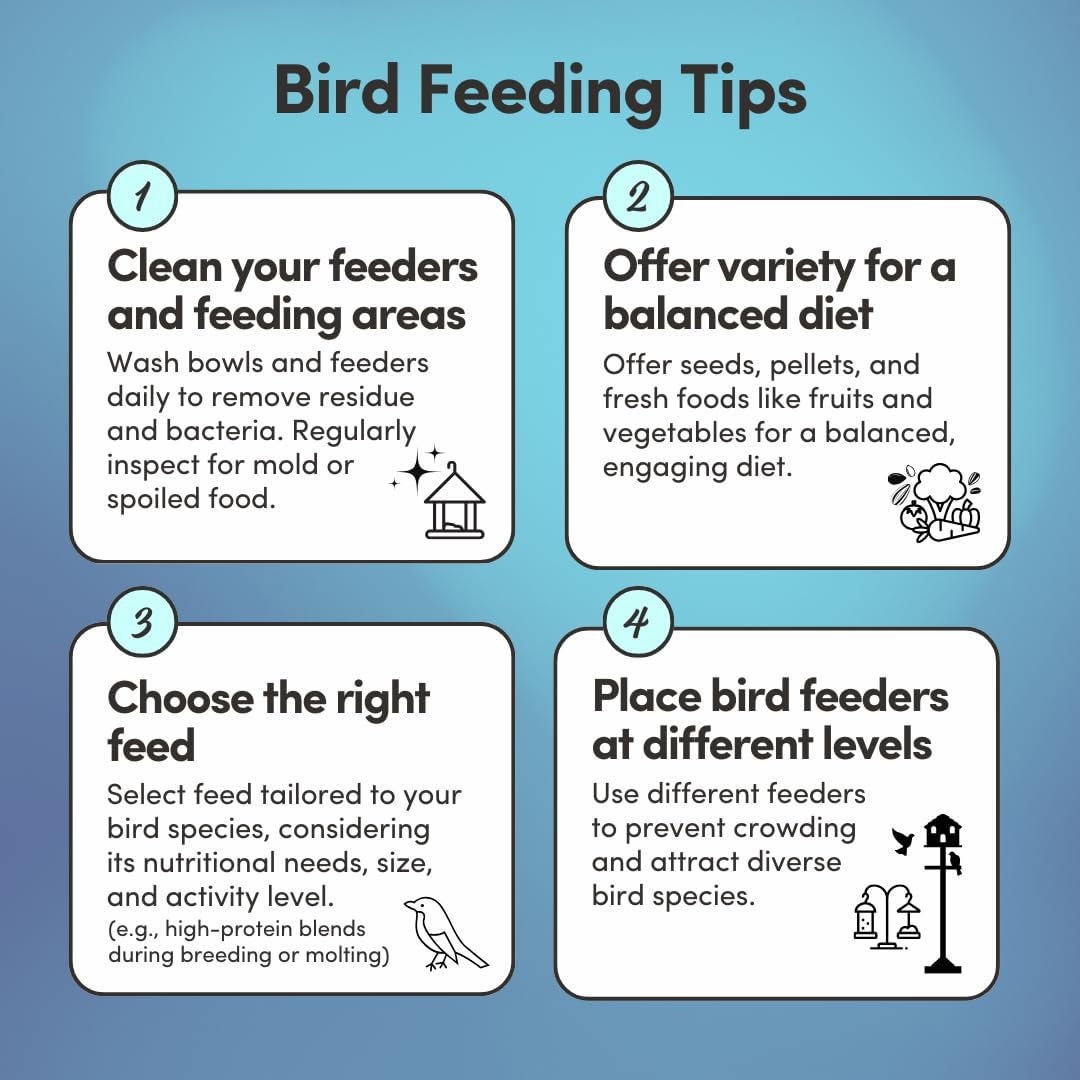 Mycelium High Protein Pigeon Food (5 LB Bag) | Organic Wild Bird Seed for Outside Feeders & Ground Feeding | Calcium Enriched Formula | Filler Free, Non-GMO, Made in USA