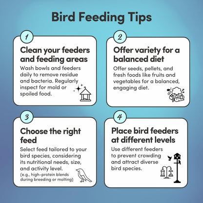 Mycelium High Protein Pigeon Food (5 LB Bag) | Organic Wild Bird Seed for Outside Feeders & Ground Feeding | Calcium Enriched Formula | Filler Free, Non-GMO, Made in USA