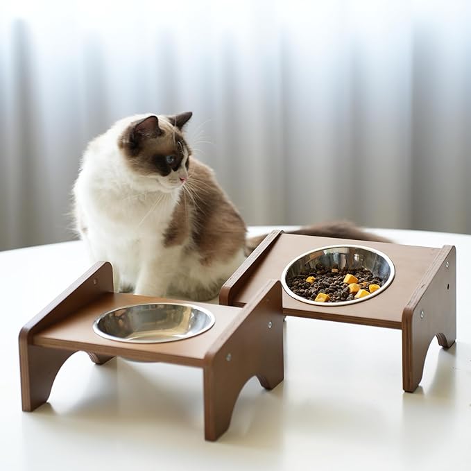 Elevated Stainless Steel Raised Food and Water Bowls, 15 Tilted Anti Vomiting, Dishwasher Safe, Non-Slip, Suitable for Cats and Puppies (Brown) - 2 Pack