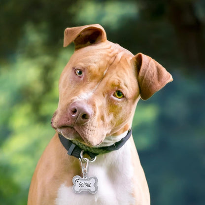 Personalized Stainless Steel Pet ID Tags with Glittery Bone Design - DEEP Engraved Dog Tags Engraved for Pets Customized with 5 Lines Dogs and Cats Pets