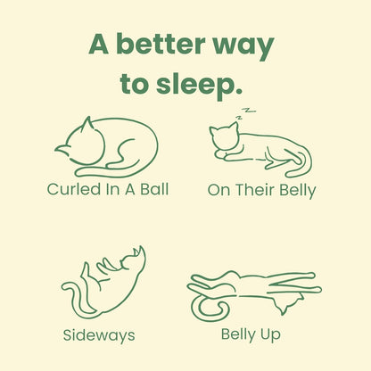 CATTASAURUS Peekaboo Cat Cave for Multiple & Large Cats Up to 30-45 Lbs, Fluffy Cat Beds for Indoor Cats, Scratch Detachable & Washable Tunnel Bed, Comfy Donut Cave (Dark Gray, Large (Calming))