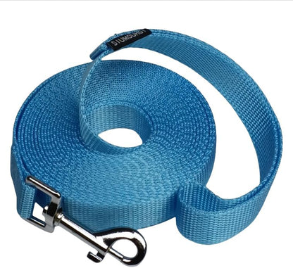 Dog/Puppy Obedience Recall Training Agility Lead - 15ft 20ft 30ft 40ft 50ft Training Leash - Great for Play, Camping, or Backyard (Mint Blue, 15 Feet)