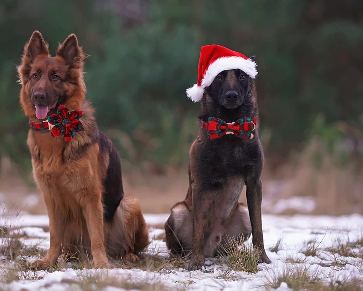 DOGWONG Christmas Dog Collar with Bow tie, Red Plaid Dog Collar Soft Durable Adjustable Cotton Red Green Tartan Puppy Collar for Small Medium Large Dog