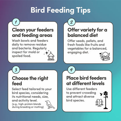 Mycelium Organic Pigeon Plus Bird Seed (5 LB Bag) | Premium Wild Bird Food for Growth, Strength & Daily Energy | Whole Grain Blend with Popcorn, Peas, Milo & Wheat | Non-GMO, No Fillers, Made in USA