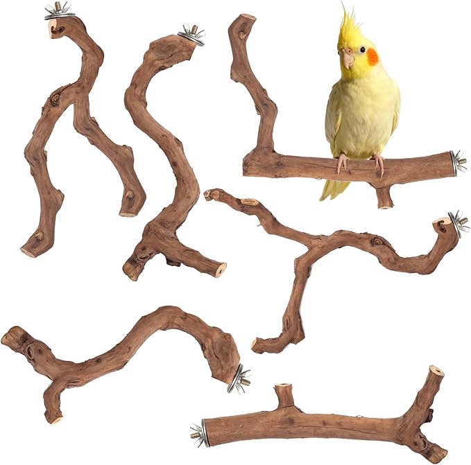 6-Piece Premium Bird Perch Stand with Natural Grape Wood Branch, Paw Grinding Fork, Chewing Stick, Cage Accessories for Parakeets, Budgies, Cockatiels, Finches, Lovebirds