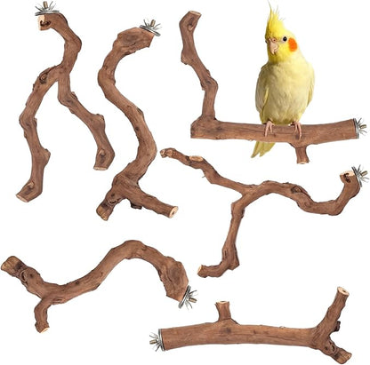 6-Piece Premium Bird Perch Stand with Natural Grape Wood Branch, Paw Grinding Fork, Chewing Stick, Cage Accessories for Parakeets, Budgies, Cockatiels, Finches, Lovebirds