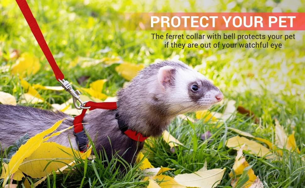 Red Ferret Sweater, Harness, and Leash Set - Ferret Clothes- Ferret Accessories - Clothes for Ferrets - Ferret Stuff - Hoodies for Ferrets - Ferret Accessories