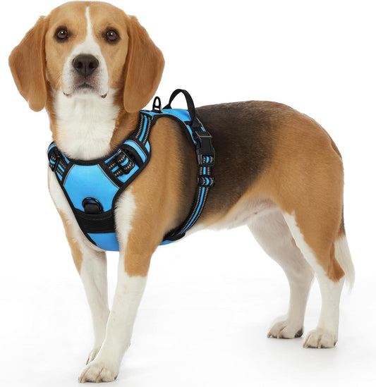 Eagloo Dog Harness Small Sized Dog, No Pull Service Vest with Reflective Strips and Control Handle, Adjustable and Comfortable for Walking, No Choke Pet Harness with 2 Metal Rings, Sky Blue, S