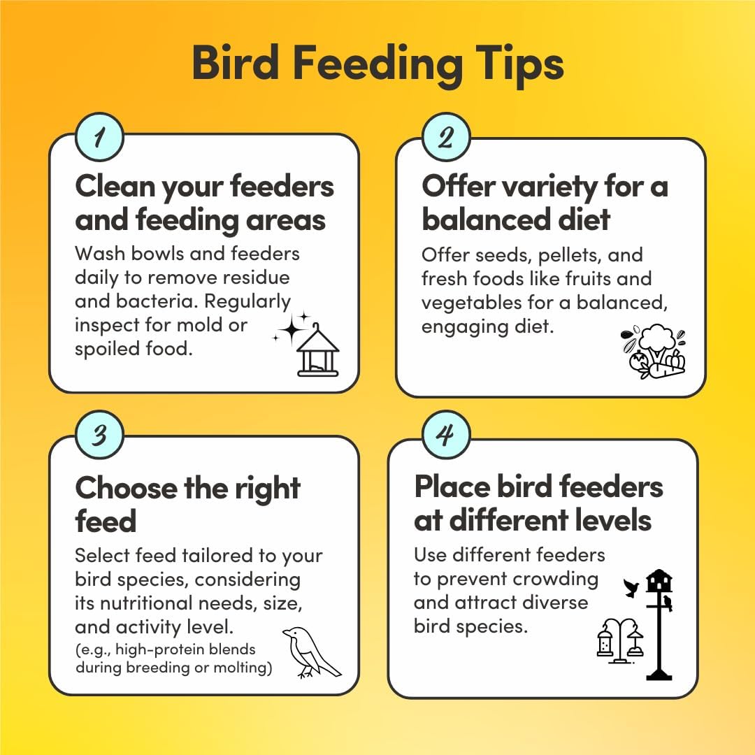 Mycelium Organic Cockatiel Superfood Bird Seed (5 LBS) | Premium Bird Food for Cockatiels & Small Parrots | Supports Immunity, Digestion & Development | Non-GMO, No Fillers, Made in USA