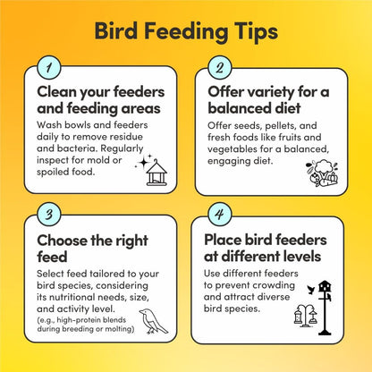 Mycelium Organic Cockatiel Superfood Bird Seed (5 LBS) | Premium Bird Food for Cockatiels & Small Parrots | Supports Immunity, Digestion & Development | Non-GMO, No Fillers, Made in USA