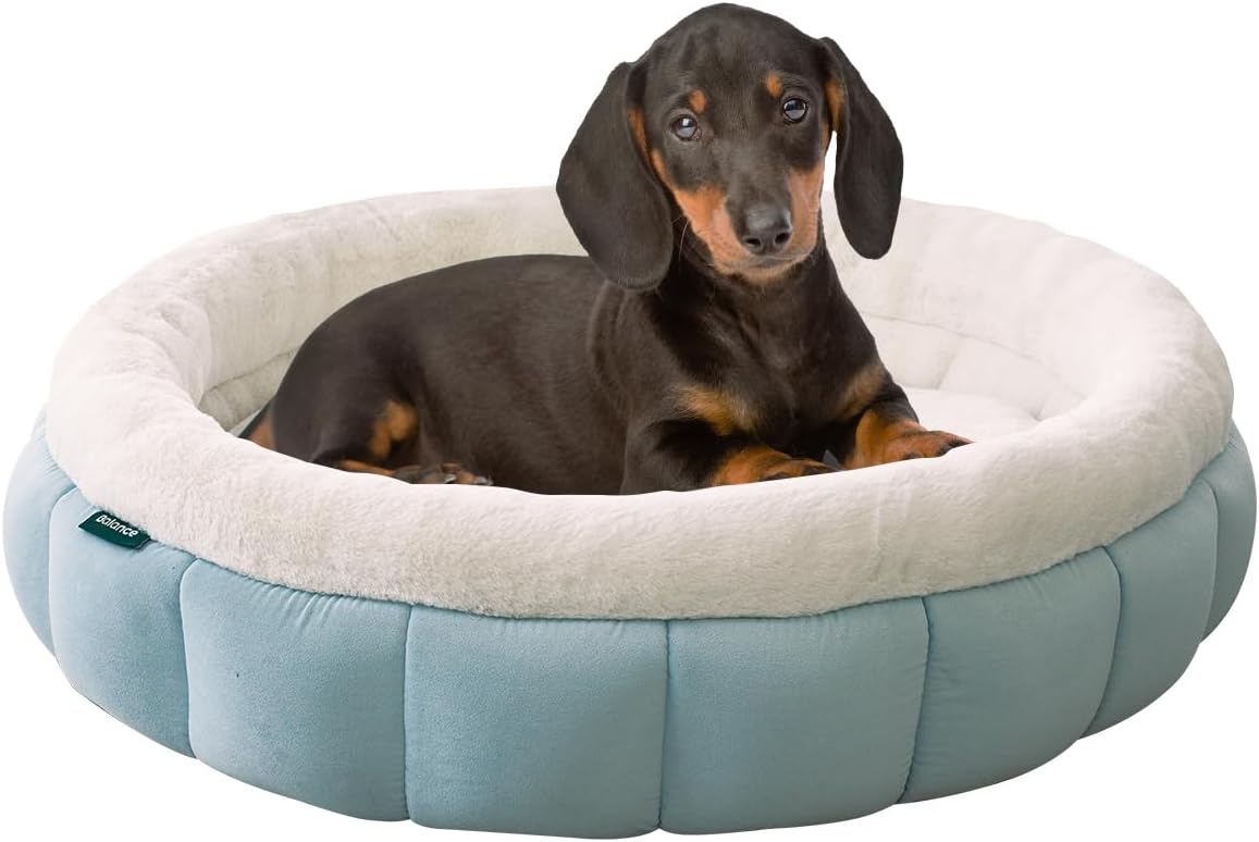 BALANCE Cat Beds for Indoor Cats, Washable Round Dog Bed, Donut Dog Bed with Anti-Slip Bottom for Small Dogs, 28 Inches, Dream Blue