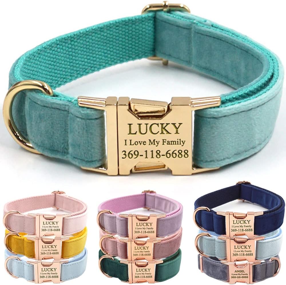 PETDURO Personalized Dog Collar Mint Green Soft Velvet for Large Medium Small Boy Girl Dogs - Custom Collar with Name Phone Number Engraved on Gold Metal Buckle - Add Leash Bow Set via Customize Now