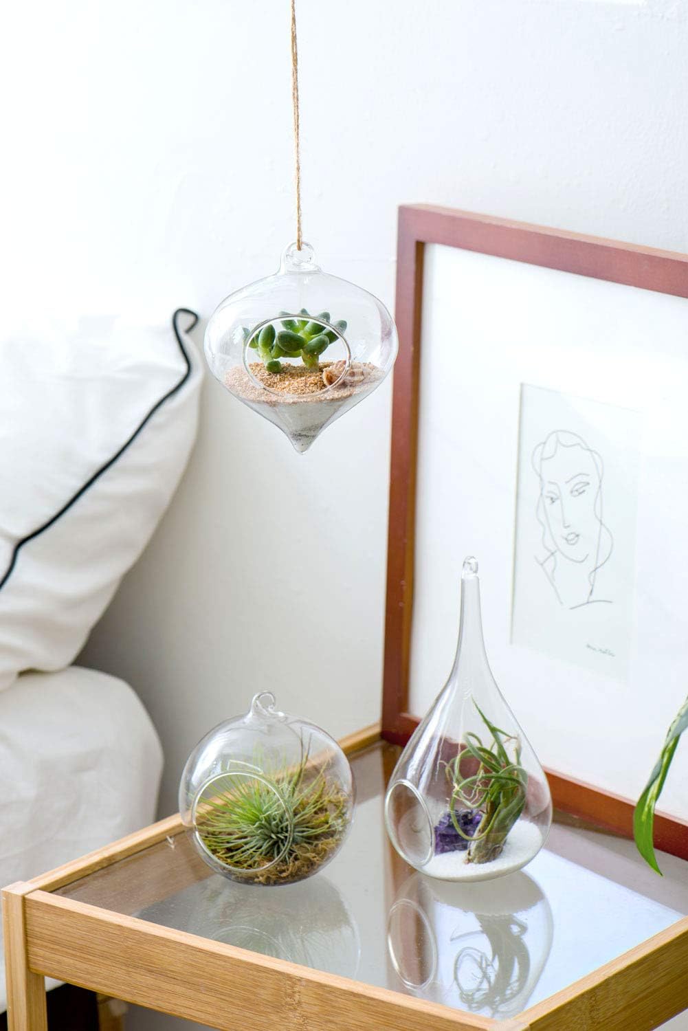 Mkono 3 Pack Glass Hanging Planter Air Fern Holder Terrarium Plants Hanger Vase, Home Christmas Decoration Gifts for Plant Lovers, Succulent Moss Tillandsias Air Plants Globe (Plant Not Included)