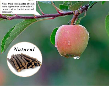 William Craft Apple Sticks Pet Chew Toys Treats for Chinchilla Guinea Pigs Rabbits Squirrel Hamster Bunny