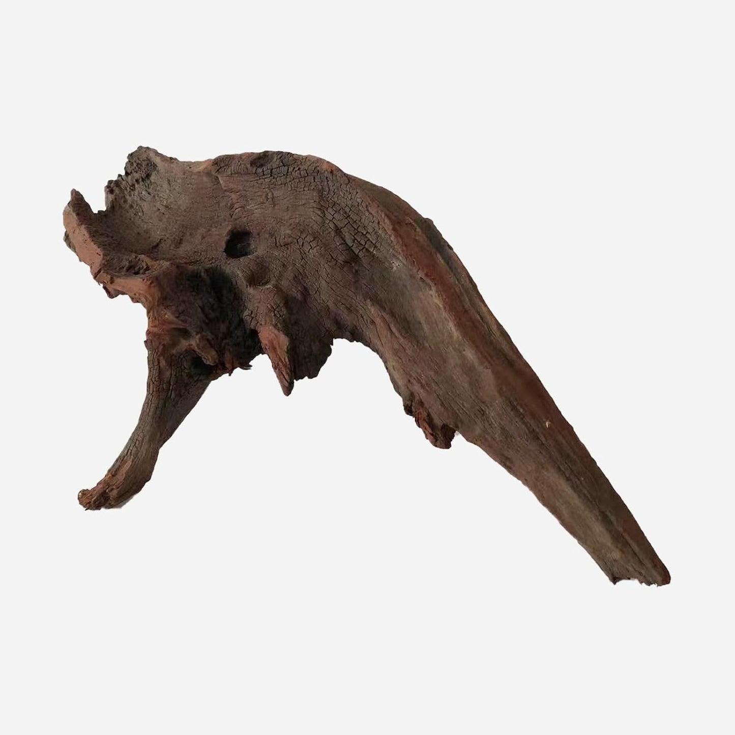 LYPHARD AQUARIUMS Natural Driftwood for Aquarium Decor, L21.65×W7.87×H6.3 Inches Large Drift Wood Decorations for Reptile Hide, Fish Tank, Optional Shapes