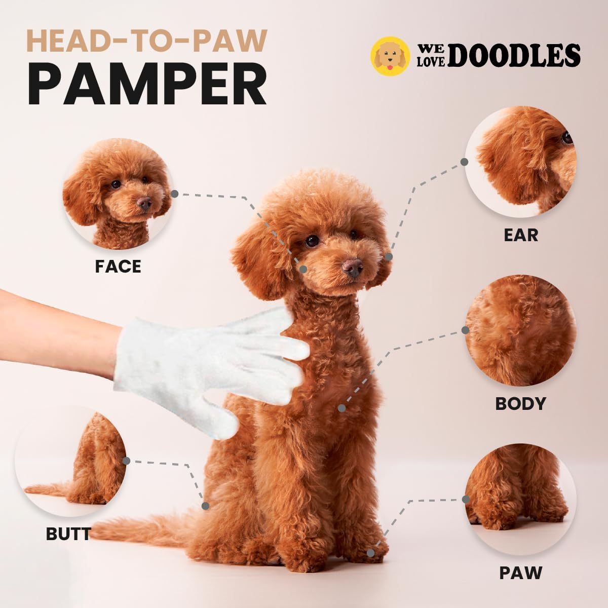 We Love Doodles Dog Cleaning Gloves Wipes - Pet Bathing Wipes for Dogs, Paws, Face, Body, Ears - Safe, Easy & Effective - Individually Packaged, Rinse-Free, Double-Sided, Alcohol-Free (6 Pieces)