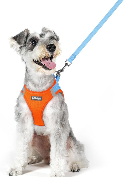 rabbitgoo Dog Harness Small Medium Sized and Leash Set, Step in Soft Light Puppy Vest, Breathable Mesh Pet Harness, Reflective for Safe Easy Walking, Blue & Orange XL