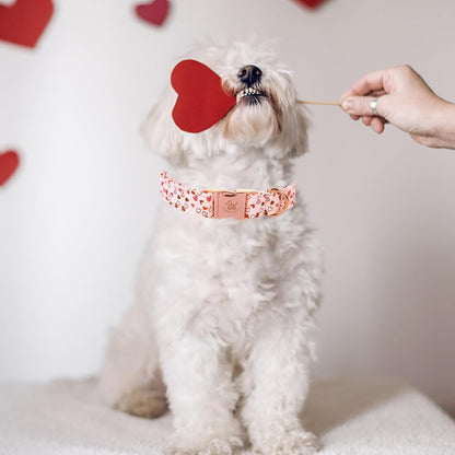 Elegant Little Tail Pink Heart Dog Collar - Cute Girl or Boy Puppy Gift - Adjustable for Small Dogs