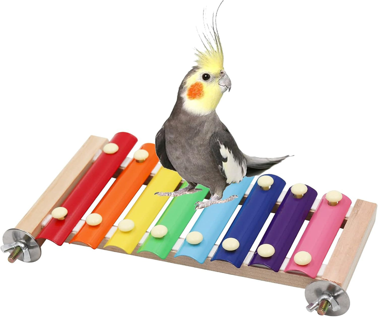Dnoifne Colorful Bird Xylophone Toy, Funny Xylophone Toy with 8 Metal Keys, Cage Accessories for Chicken Chick Birds Parrots Parakeets Cockatiels Budgies Love Birds