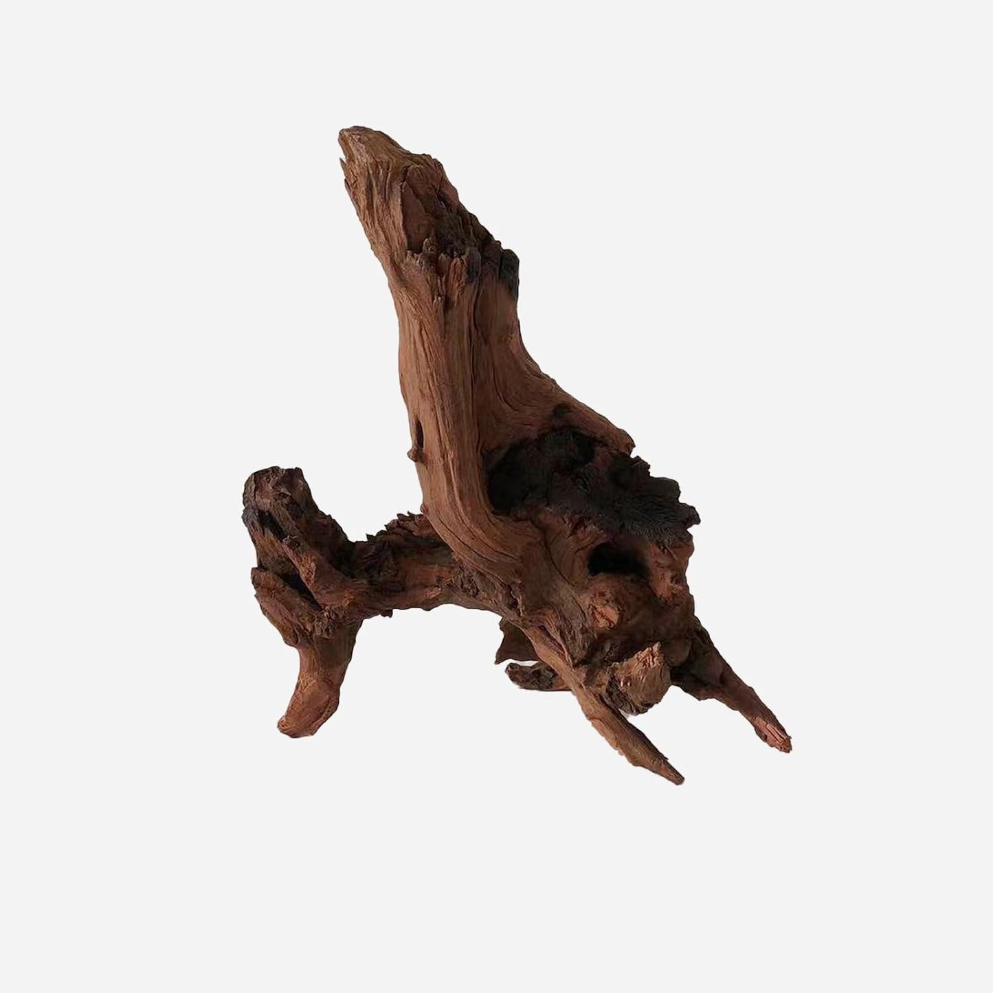 LYPHARD AQUARIUMS Natural Driftwood for Aquarium Decor, L11.81×W11.02×H12.6 Inches Large Drift Wood Decorations for Reptile Hide, Fish Tank, Optional Shapes