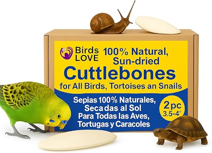 Birds LOVE Natural Cuttlebone | 100% Pure Sun-Dried Calcium Supplement for Birds, Tortoises, Snails & Crabs | Supports Beak & Shell Health | Easy to Chew | 2 Pack, Size 3.5 to 4"