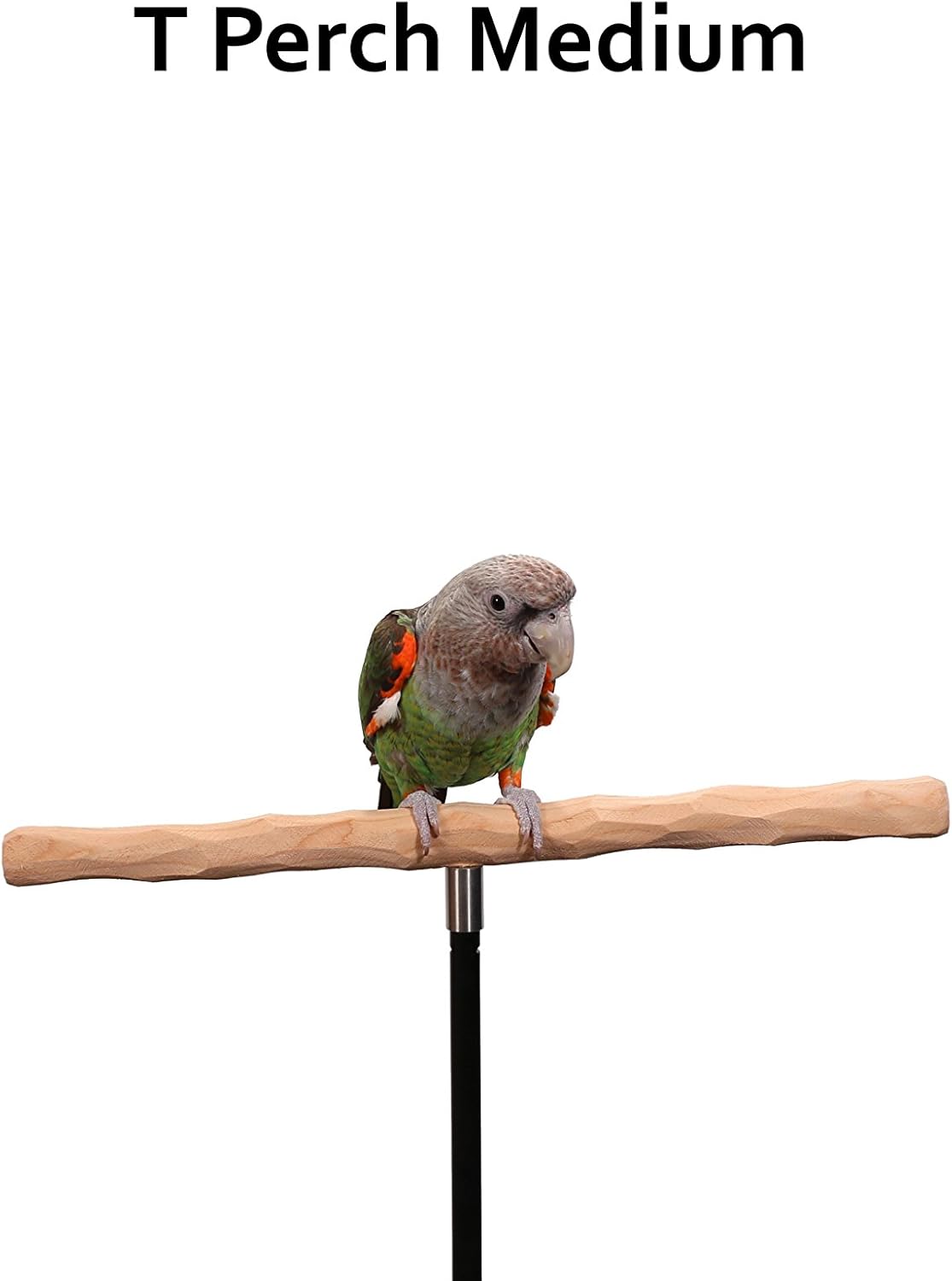 Parrot Training Perch Kit (T Perch, Medium)