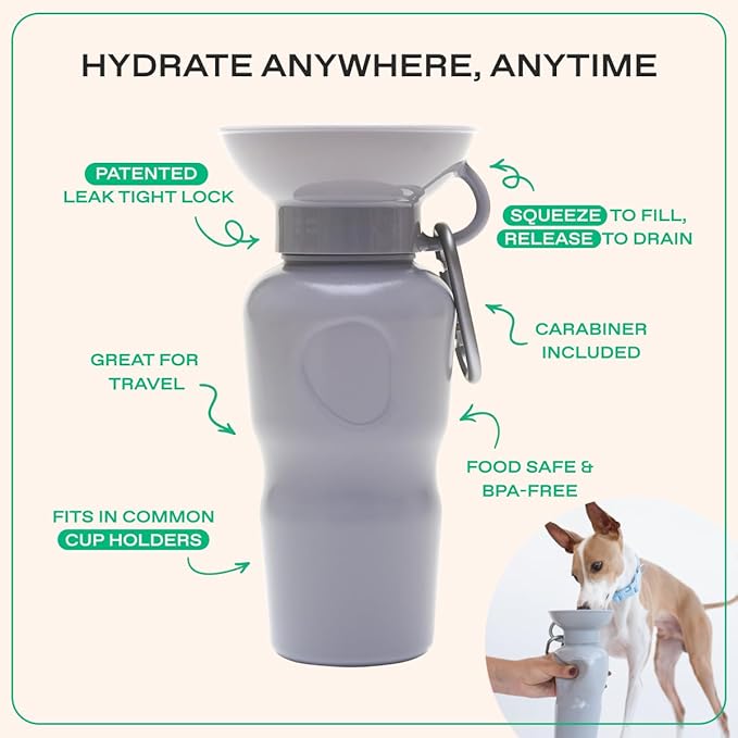 Springer by Springland Dog Water Bottle | Portable Travel Water Bottle Dispenser for Dogs | Dog Gift Seen on Oprah's Favorite Things, Shark Tank | Leak-Proof Bottles | BPA-Free 22oz Gray