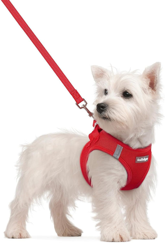 rabbitgoo Dog Harness Small Sized and Leash Set, Step in Soft Light Puppy Vest, Breathable Mesh Pet Harness, Reflective for Safe Easy Walking, Red S