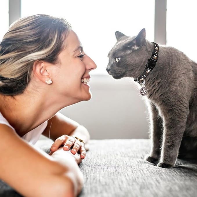 2Pcs Breakaway Cats Collars Cat Collars for Boy Cats Adjustable Kitten Collars with Bell,Black+Light Blue,8"-13.1"