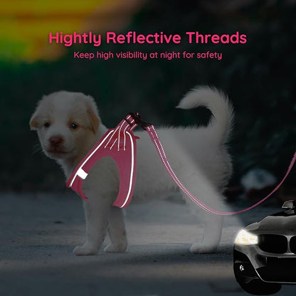 BELLA & PAL Step in Vest Harness for Small and Medium Dogs, No Pull Small Dog Harness with Leash Set, Comfortable Air Mesh Dog Vest Harness with Reflective Strip (Hot Pink, S)