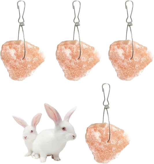 PINVNBY Salt Blocks for Rabbits,4 Pieces Himalayan Small Pets Lick Salt Block Natural Mineral Salts with Hook Hanging Small Animals Chew Toys for Horses Bunny