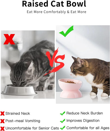 Cat Water Bowl, 16 OZ Ceramic Elevated Cat Bowls, 15° Tilted and Raised Pet Food Dish, Anti Vomiting Protect Pets' Spines and Whisker Fatigue