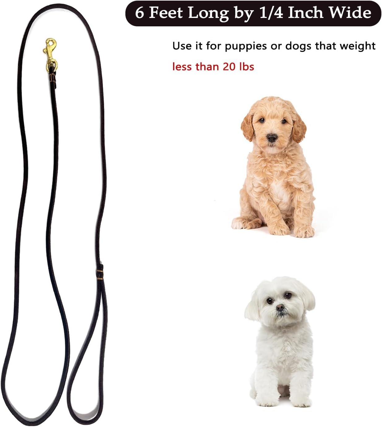 Guiding Star Leather Dog Leash 6 ft x 1/4 inch,Thin and Lightweight Leather Leashes for Small Dogs,Leather Cat Leashes for Small Cats,Soft Genuine Leather Dog Training Leashes for Petite Dogs Black