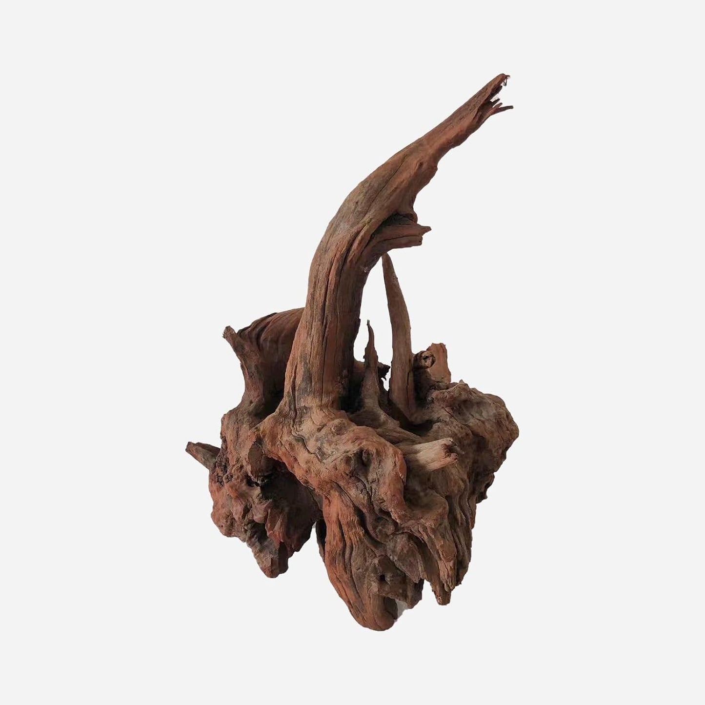 LYPHARD AQUARIUMS Natural Driftwood for Aquarium Decor, L11.81×W11.02×H15.75 Inches Large Drift Wood Decorations for Reptile Hide, Fish Tank, Optional Shapes