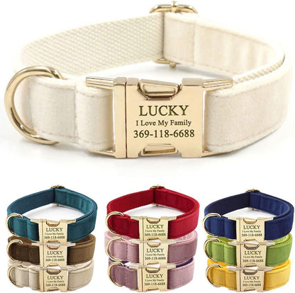 PETDURO Custom Dog Collar Personalized with Name Engraved Quick Release Rose Gold Metal Buckle for Large Medium Small Girl Dogs - Dog Leash and Bow Tie Available - Soft Comfy Velvet (Cream G, XS)