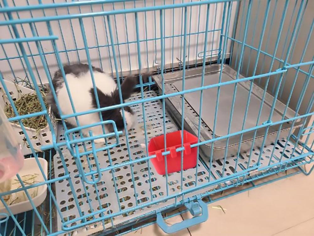 Pack of 10 Cage Cups Birds Feeders Seed Bowl Chicken Feeding Watering Dish Rabbit Water Food Hanging Wire Cages Box 8 oz Coop Cups for Pet Parrot Parakeet Game Fowl Poultry Pigeon