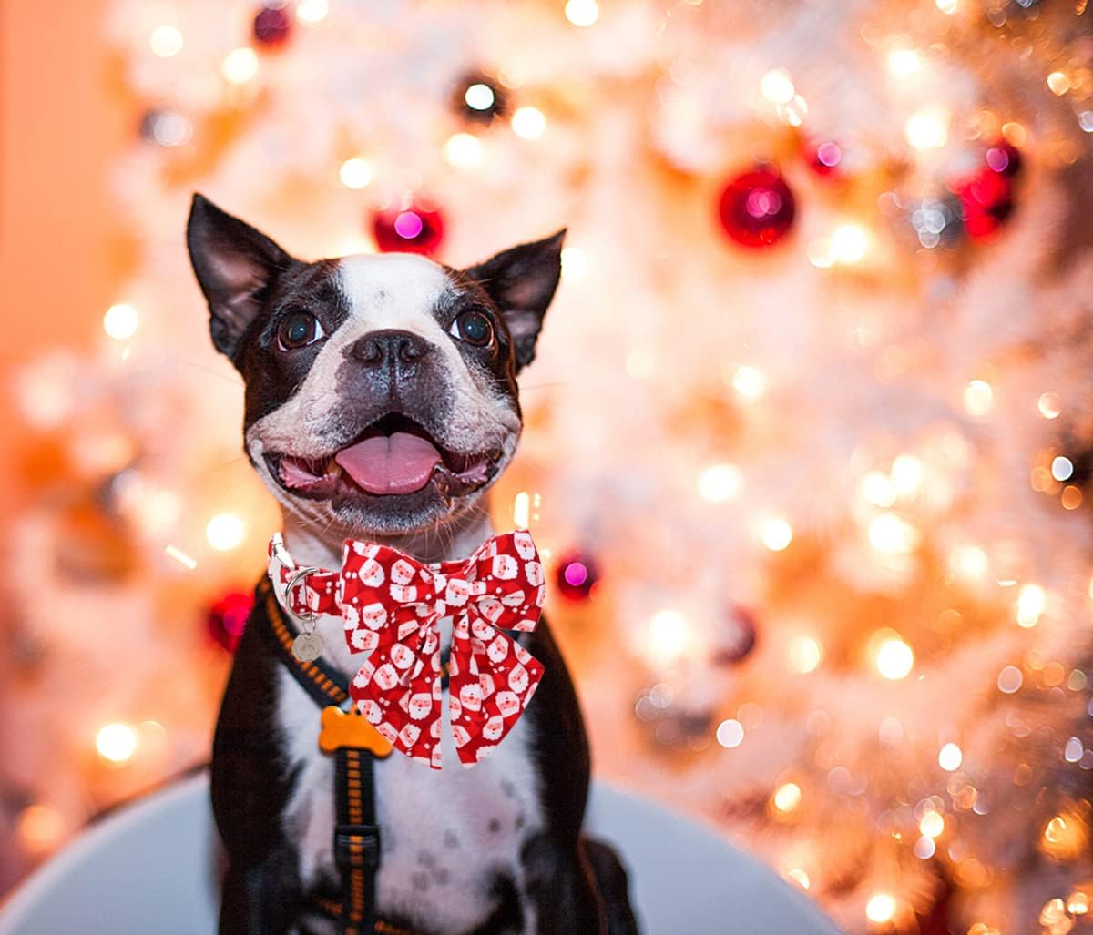 DOGWONG Christmas Dog Collar with Sailor Bow, Red Santa Claus Dog Collar Soft Durable Adjustable Cotton Puppy Collar for Small Medium Large Dog