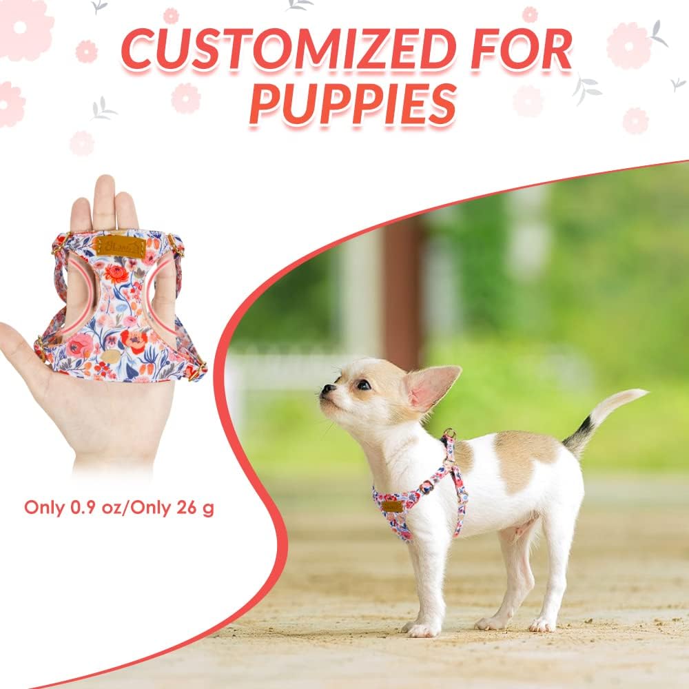 SlowTon No Pull Dog Harness with Leash - Soft Lightweight Floral Pattern Puppy Harness, Adjustable Pet Harness for Small Medium Dogs Pupppy (Flower M)