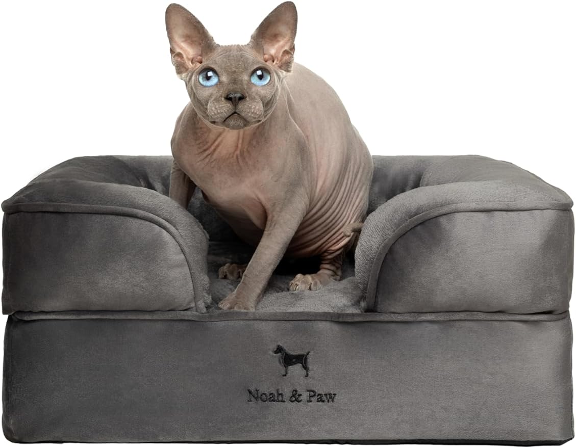 NOAH & PAW Small Dog Bed, 20x15x8 Inch, Cat Bed for Indoor Cats, Orthopedic Eggshell Memory Foam Infused with Cooling Gel, Waterproof Inner Cover Machine Washable (Velvet Collection)