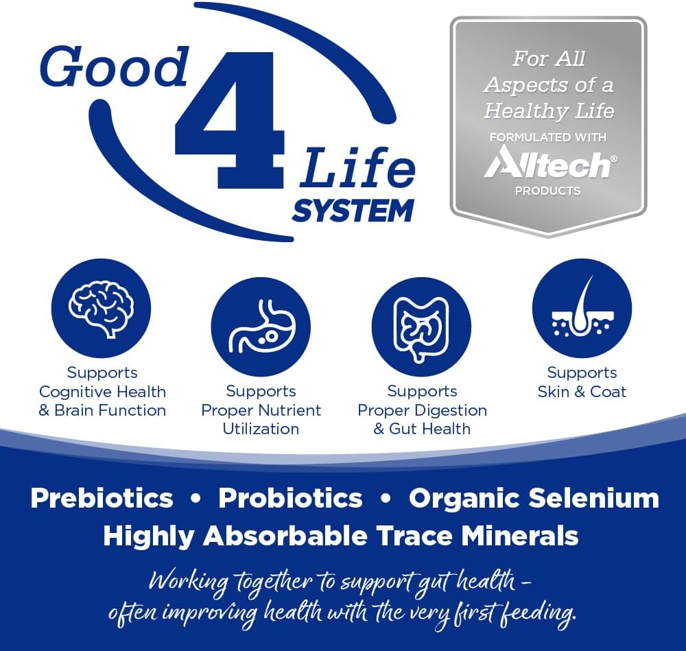 NutriSource Trout & Rice Recipe Dog Food, Premium Wet Dog Food, 12.3 Ounce (Pack of 12)