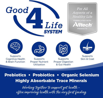 NutriSource Trout & Rice Recipe Dog Food, Premium Wet Dog Food, 12.3 Ounce (Pack of 12)