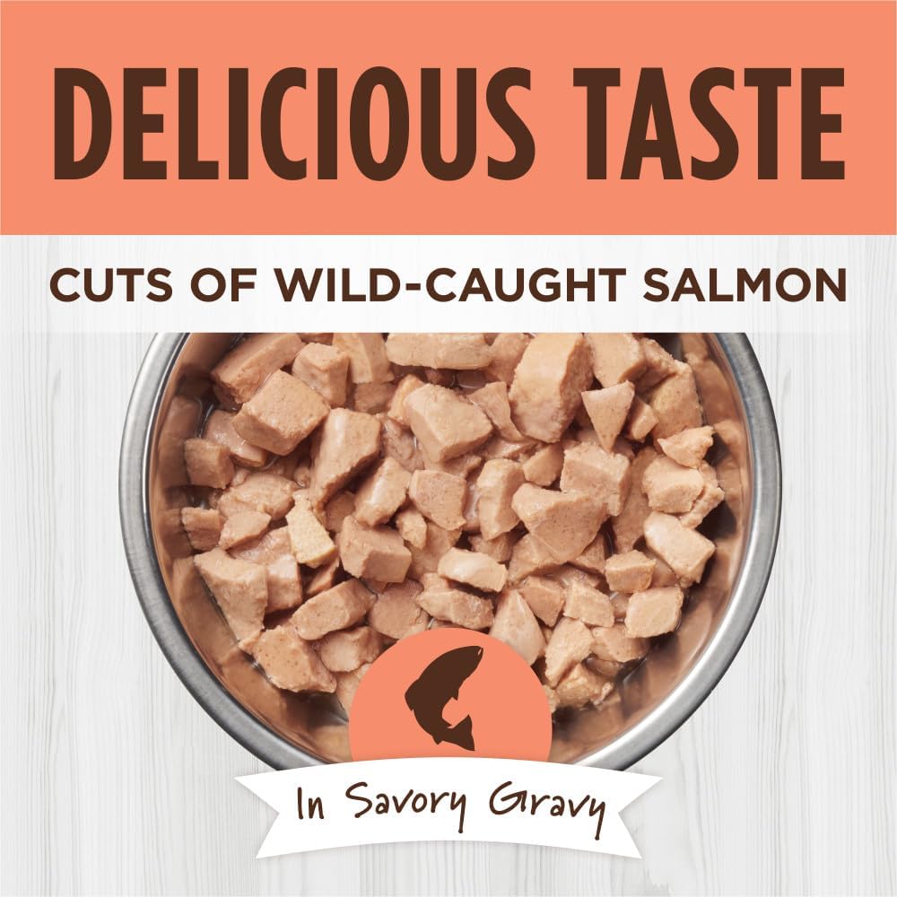 Instinct Healthy Cravings Natural Wet Cat Food Topper, Grain Free Recipe - Real Salmon, 3 oz. Pouches (Pack of 24)