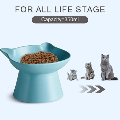 Ceramic Elevated Cat Bowl, Raised Cat Food Water Bowl for Indoor Cats with Stand, Titled Anti-Vomiting Cat Dish，Whisker Friendly, All Life Stage