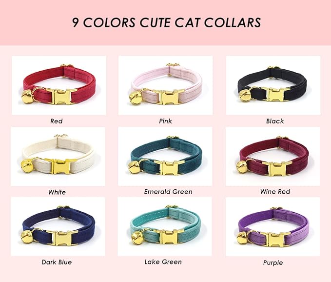 Personalized Cat Collar with Engraved Name and Phone Number - Customizable Kitten Collars for Boys and Girls (Velvet)
