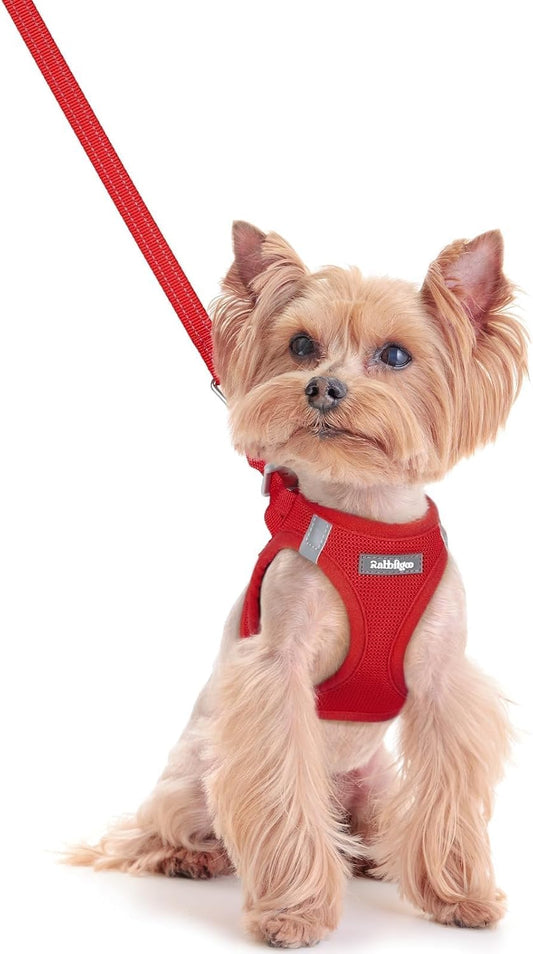 rabbitgoo Dog Harness Small Sized and Leash Set, Step in Soft Light Puppy Vest, Breathable Mesh Pet Harness, Reflective for Safe Easy Walking, Red XXS