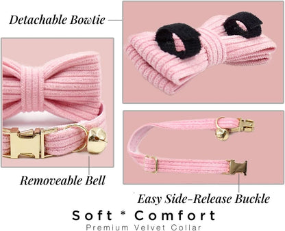 Personalized Cat Collar with Engraved Name Phone Number for Boy and Girl Kitten